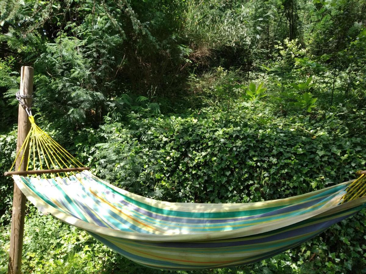 Pura Vida Bed and Breakfast Valleraugue Εξωτερικό φωτογραφία